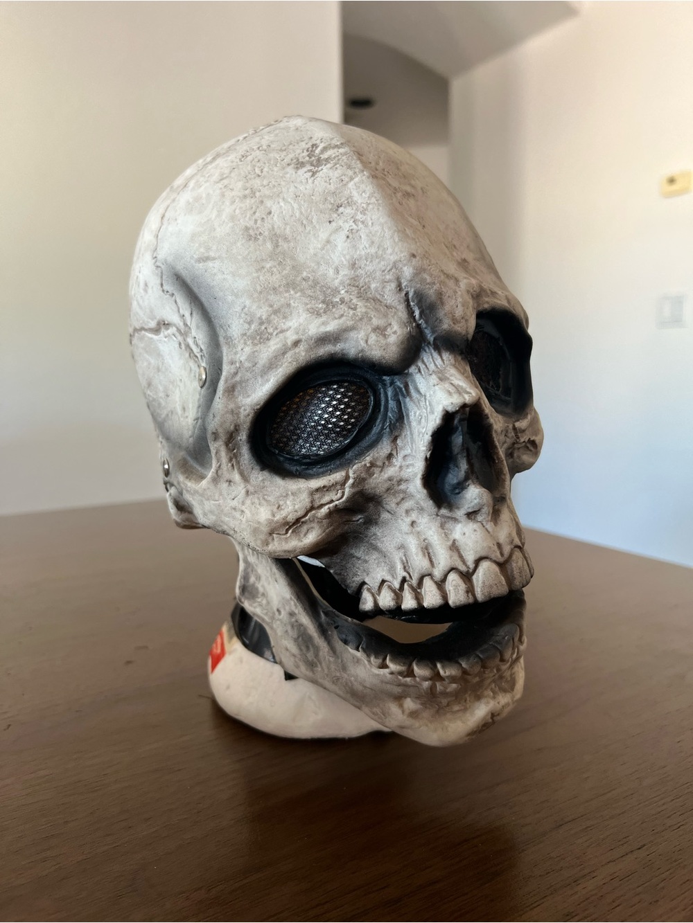 Skull face mask